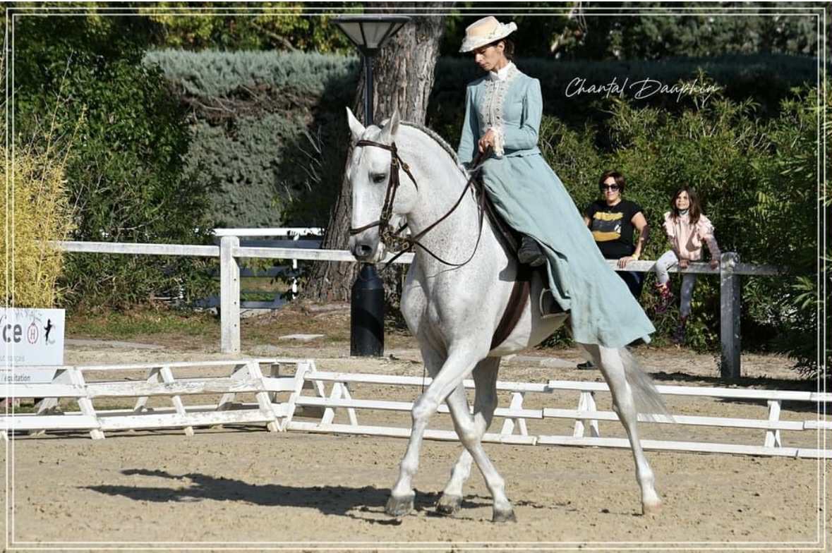 Aurore Lahaye, appuyé, équitation de tradition française.